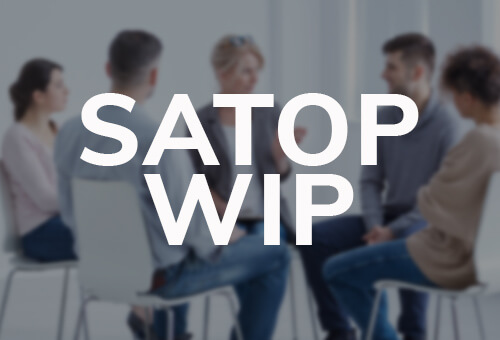 SATOP Weekend Intervention Program (WIP)